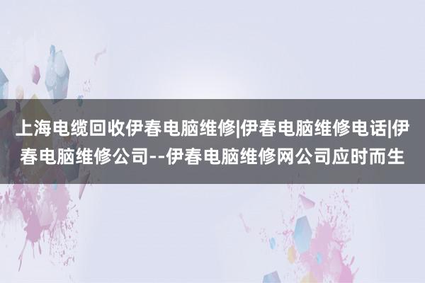 上海电缆回收伊春电脑维修|伊春电脑维修电话|伊春电脑维修公司--伊春电脑维修网公司应时而生