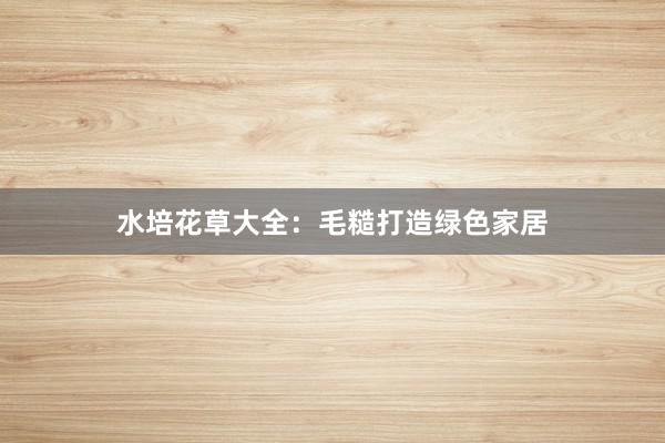 水培花草大全：毛糙打造绿色家居